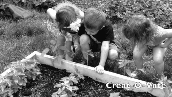 Nashua YMCA Day Camps, YMCA of Greater Nashua