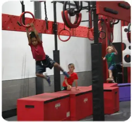 Ninja Obstacle Course