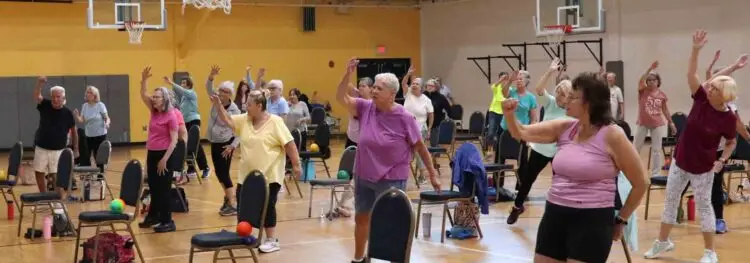 Senior Wellness Class