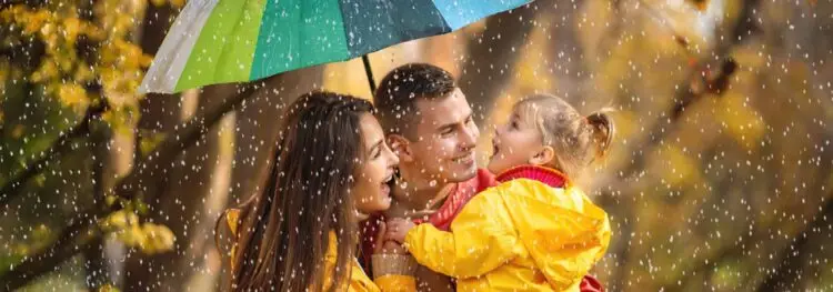 Program Guide Session D 2026