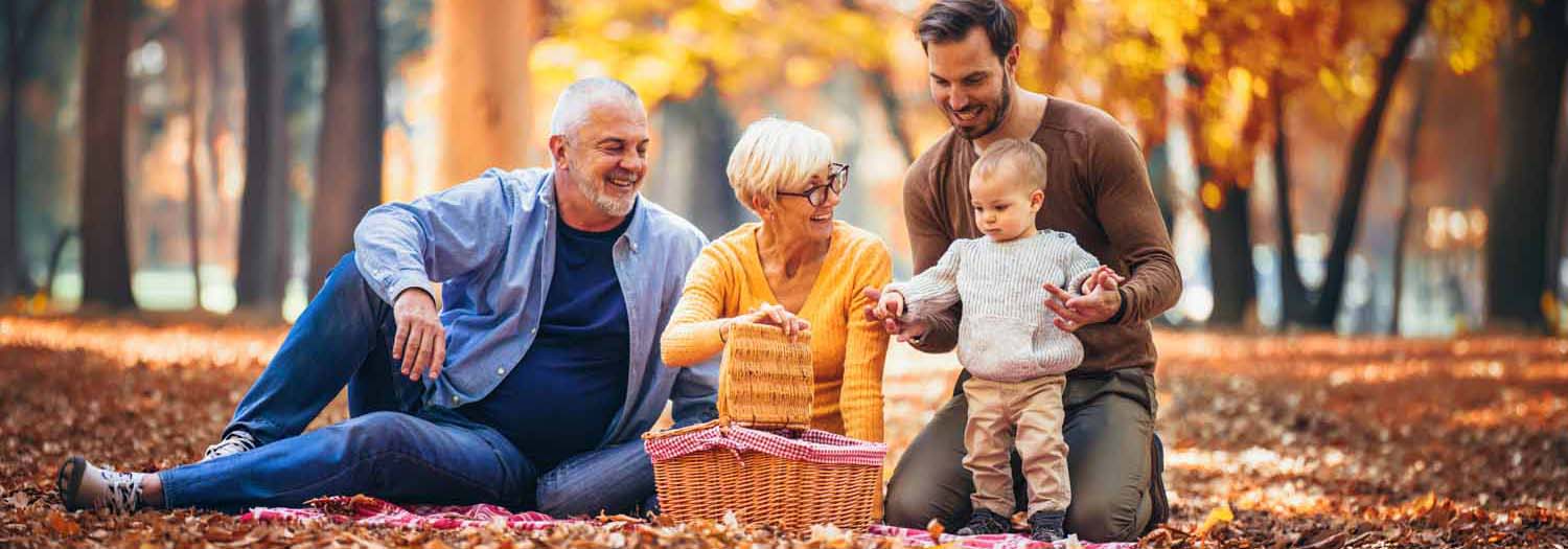 Session B - Multi generational family picnic
